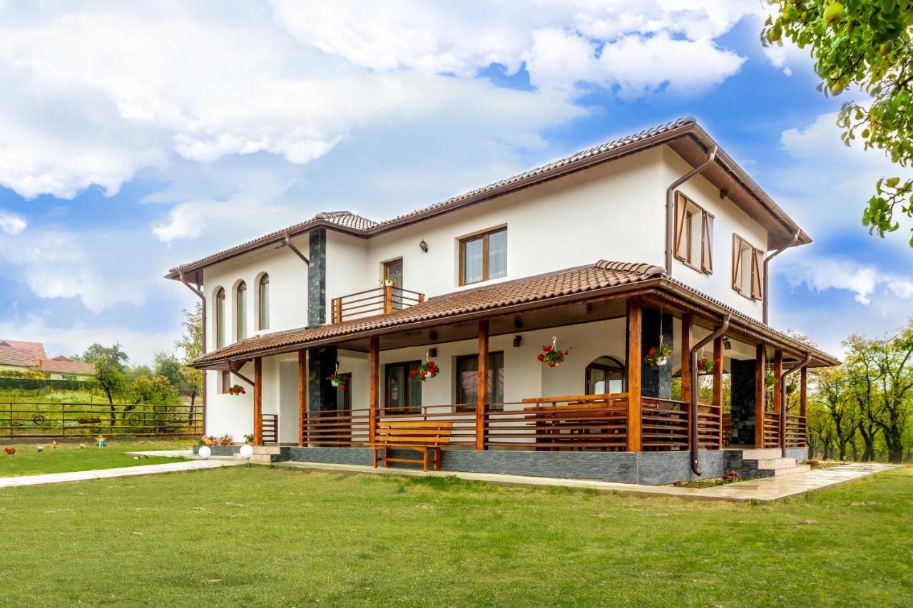 Agropensiunea Darden Baia de Fier Ngoại thất bức ảnh